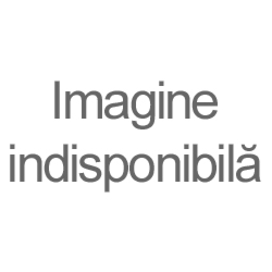 SABRESIONELA